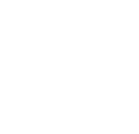 revivaldiamond